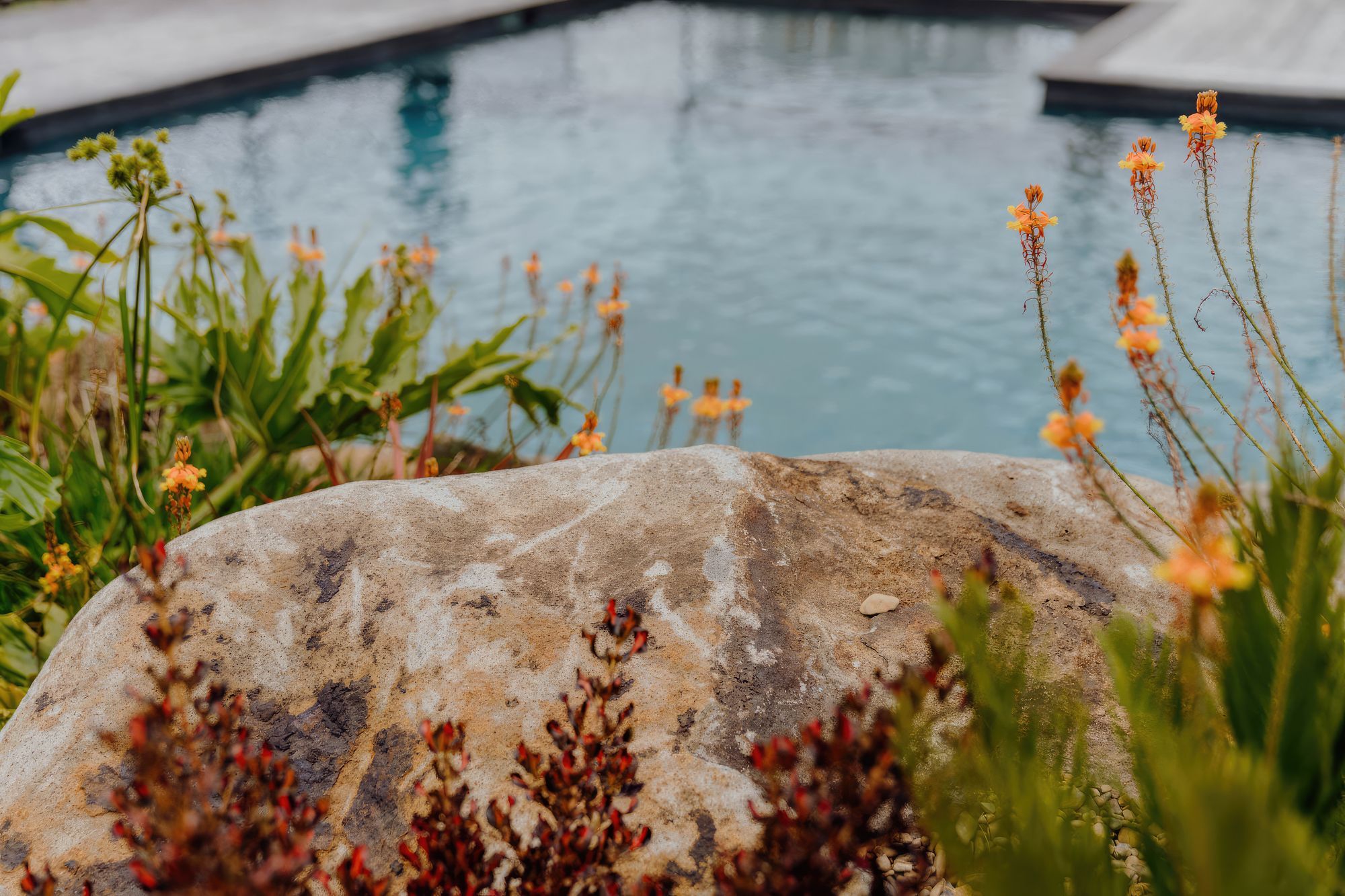 uponsite-landscaping-pukekohe-project-one-4-fix-standard-scale-200x.jpg
