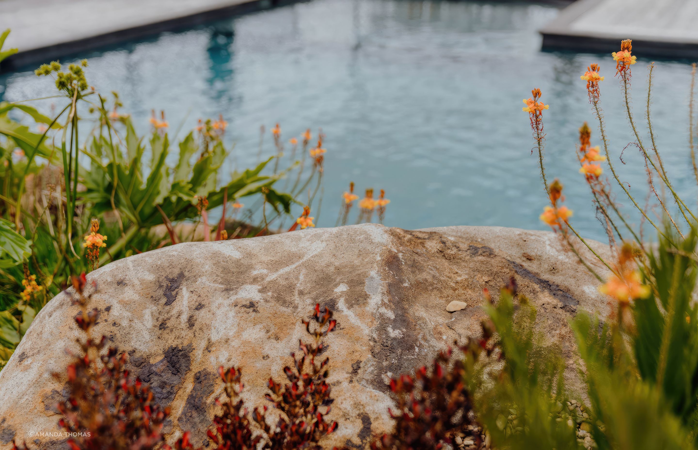 uponsite-landscaping-pukekohe-project-one-4-fix-standard-scale-200x.jpg
