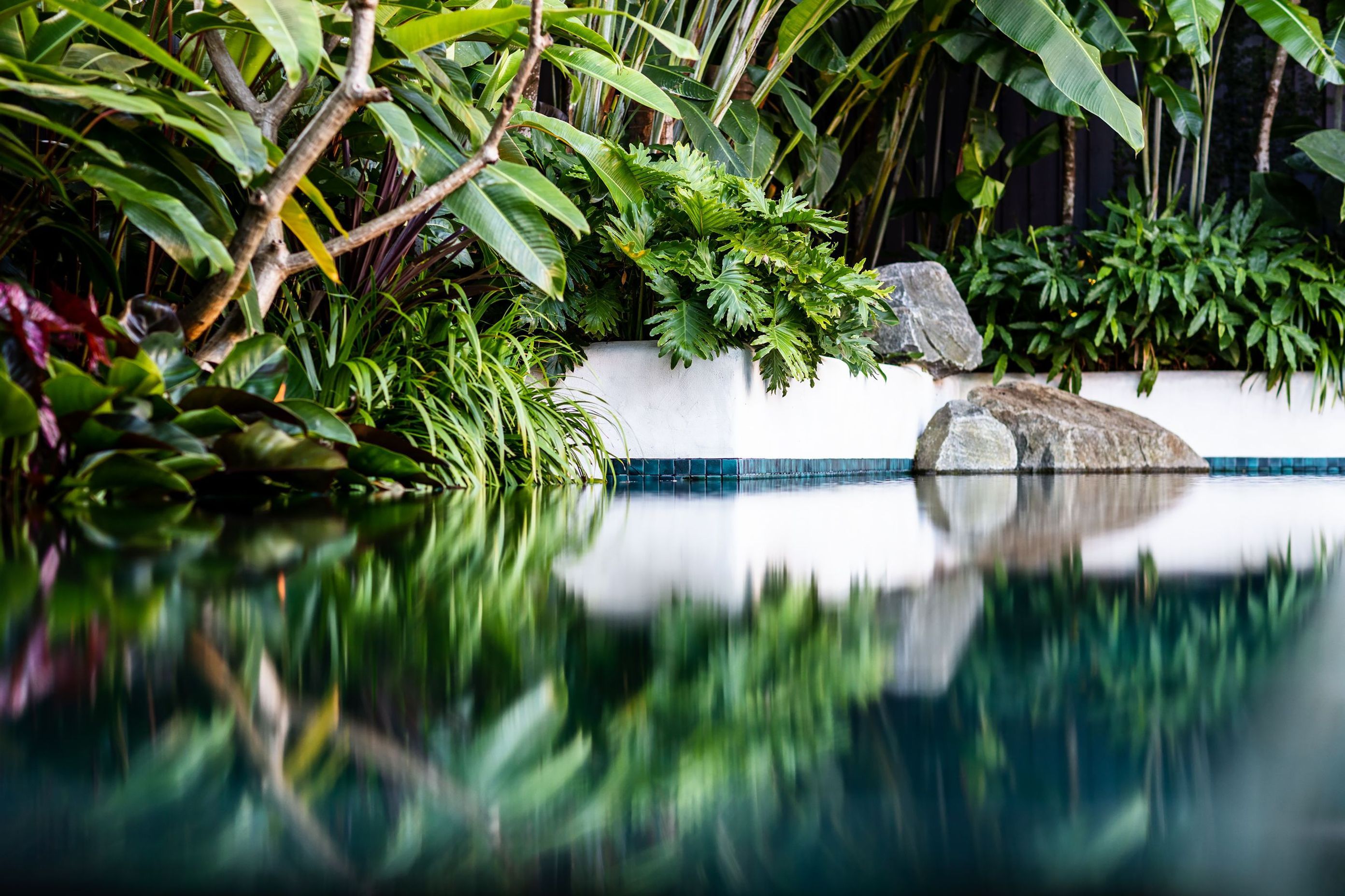 Pure Tropics