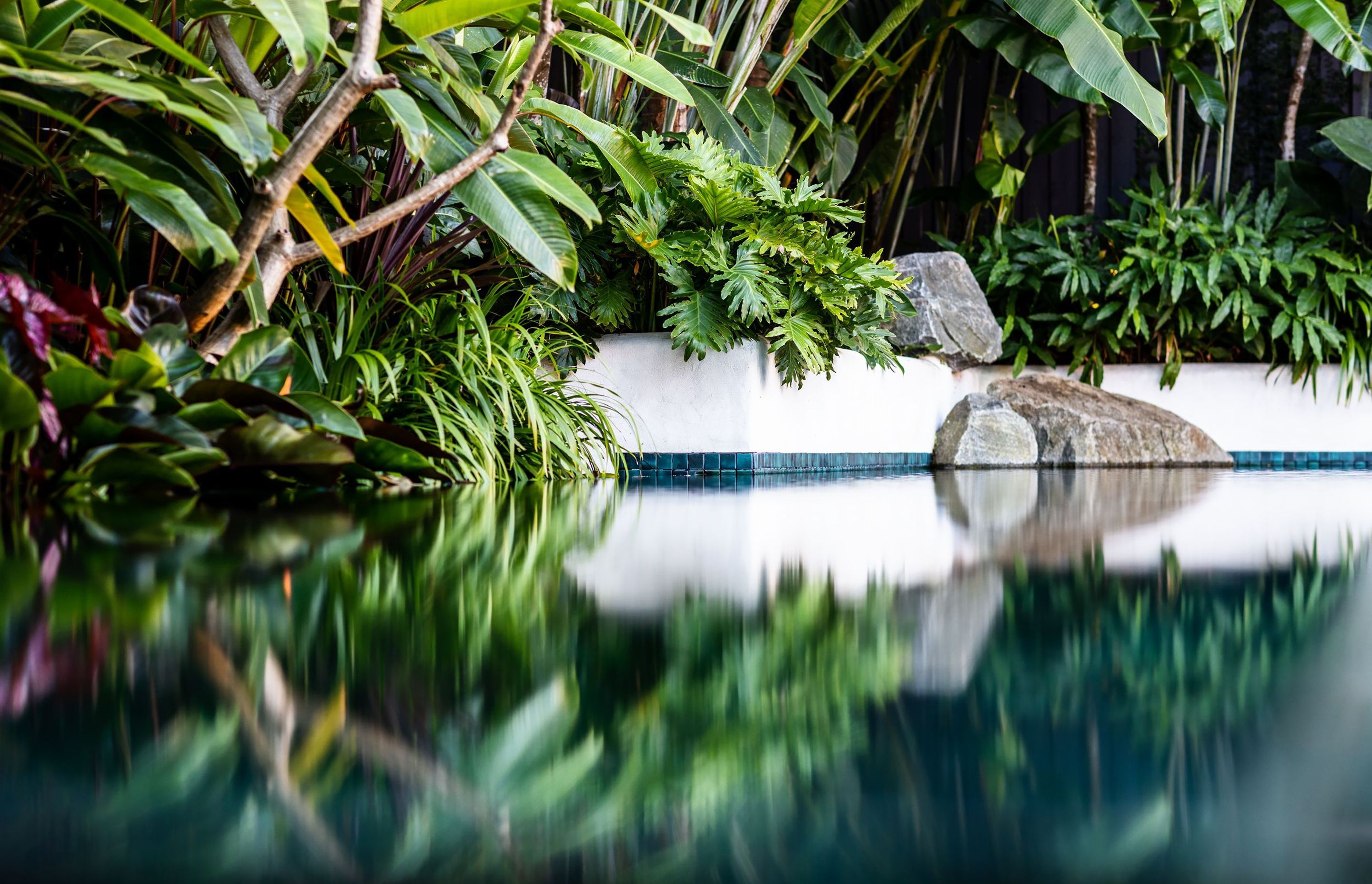 Pure Tropics