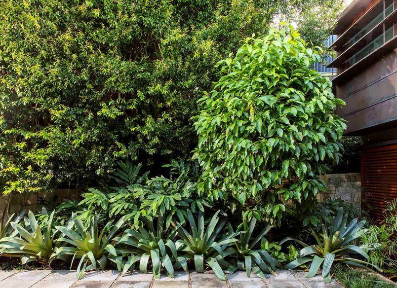 A Garden for All Seasons