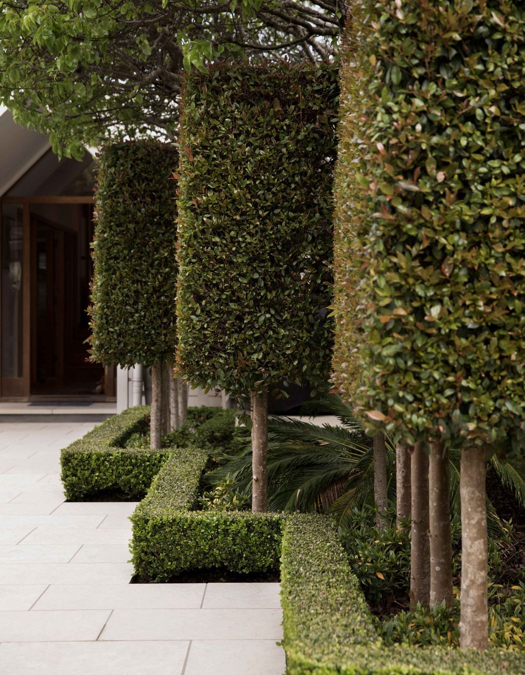 Contemporary Elegance