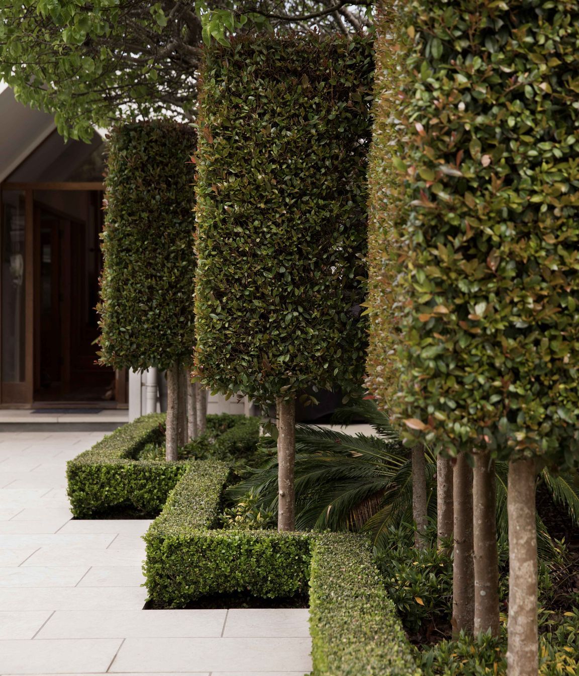 Contemporary Elegance