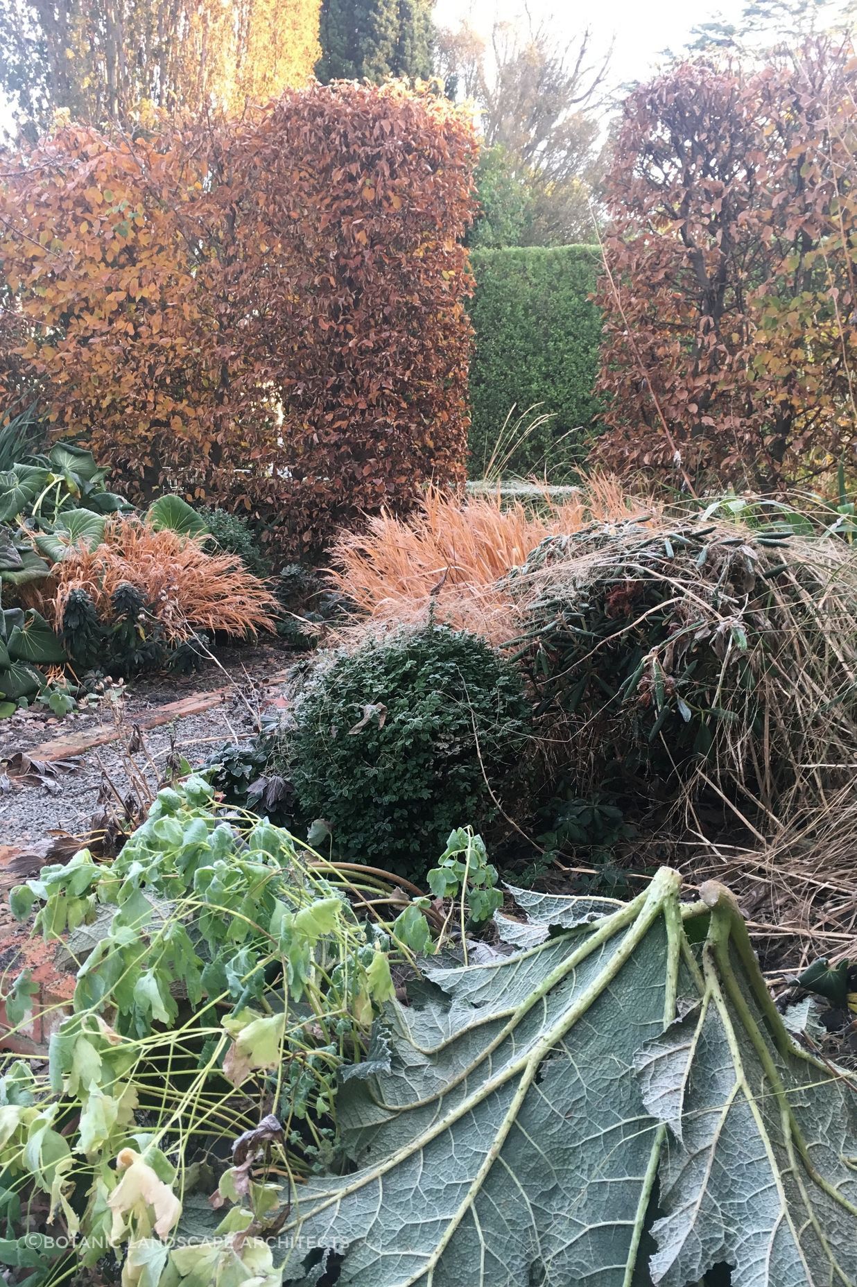 Shirley Garden
