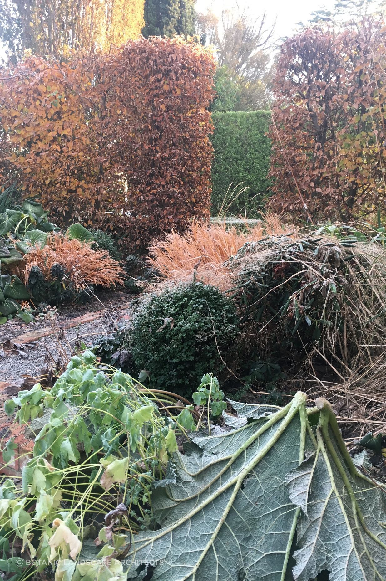Shirley Garden