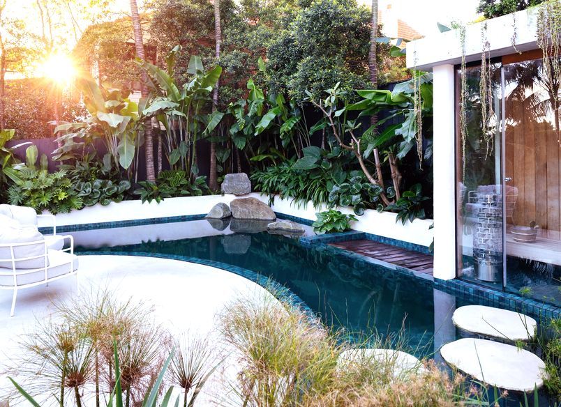 Pure Tropics