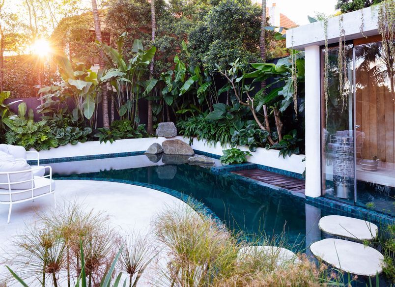 Pure Tropics
