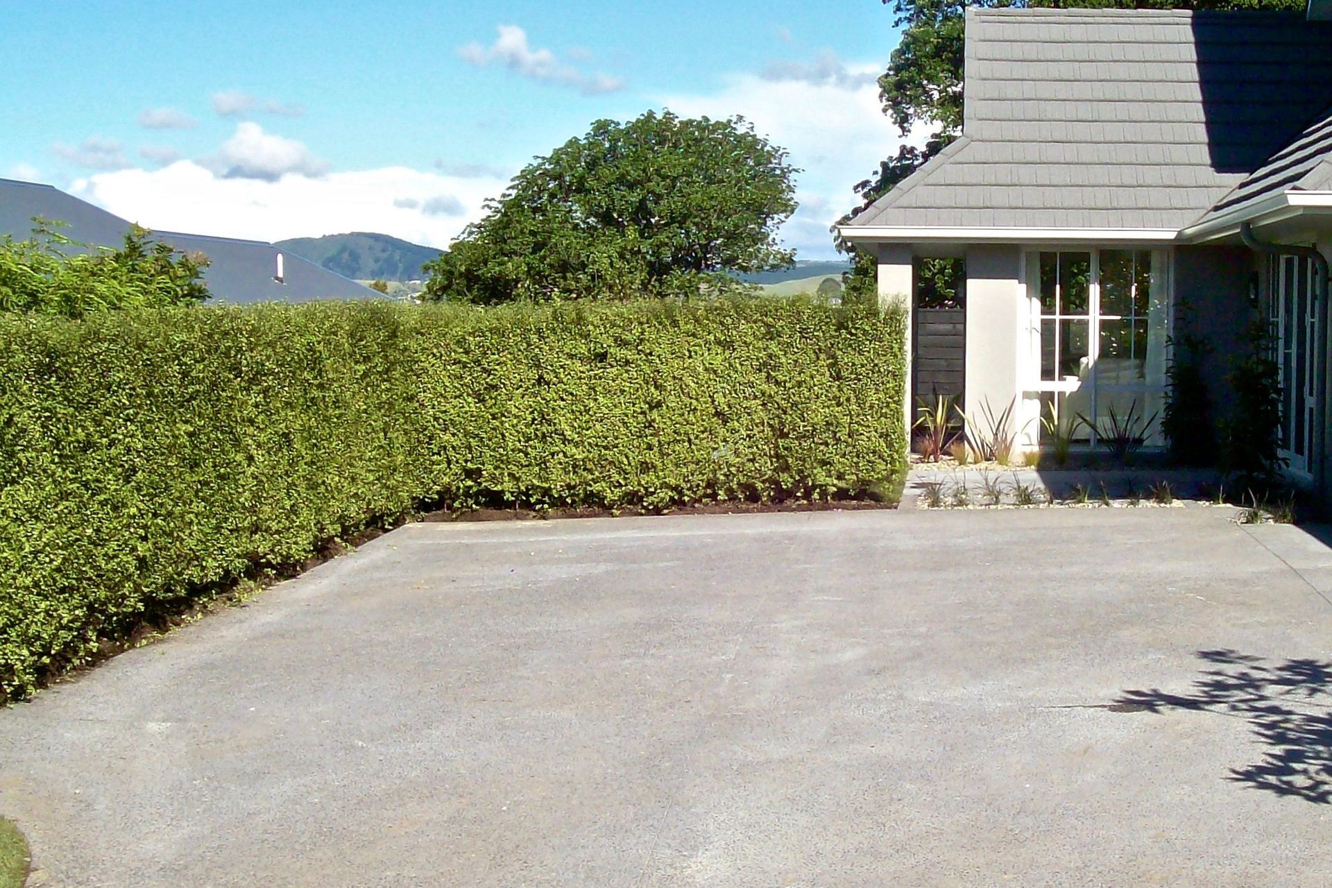 What a transformation! Privacy, greenery, and the view beyond maintained.