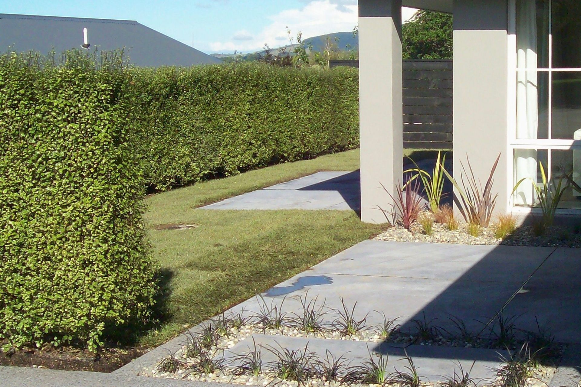 AFTER - to this, in just a day! Instant hedges (and instant lawn) work like magic.