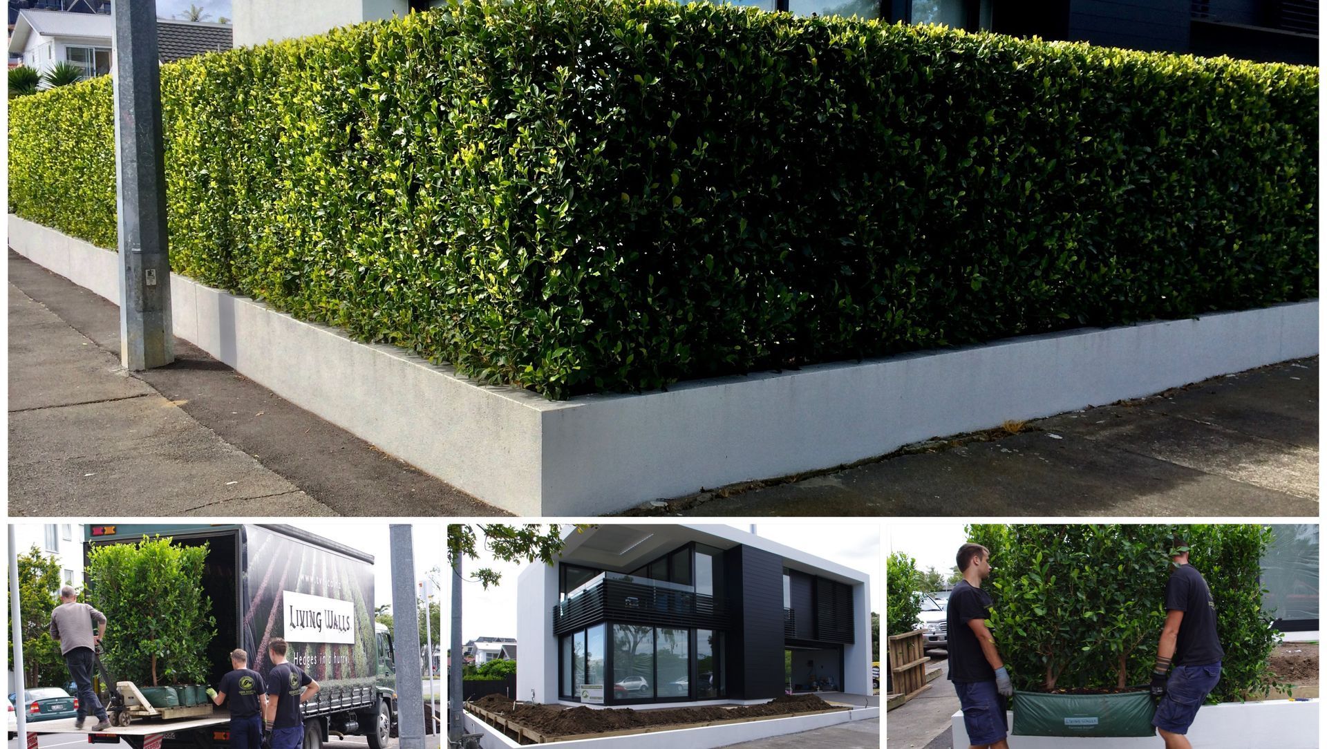 A Boundary Hedge in a Day, Not Years banner