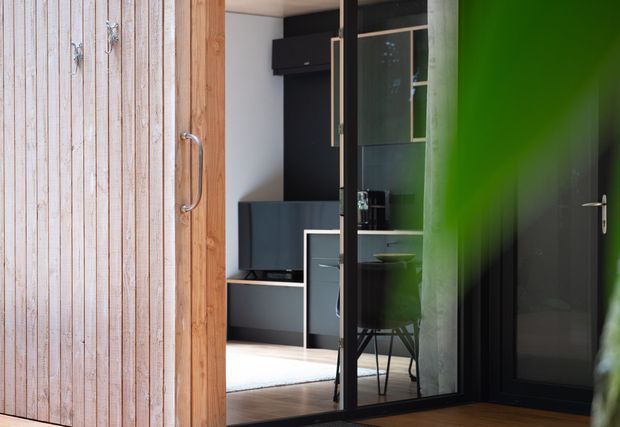 View through a timber-clad entry door into a compact contemporary interior. The foreground features a vertical light timber door with metal handles and a black-framed glazed partition or door. Beyond is a dark built-in media/storage wall, television, desk or console, dining chair, and timber flooring. A large green foreground plant partially obscures the view.