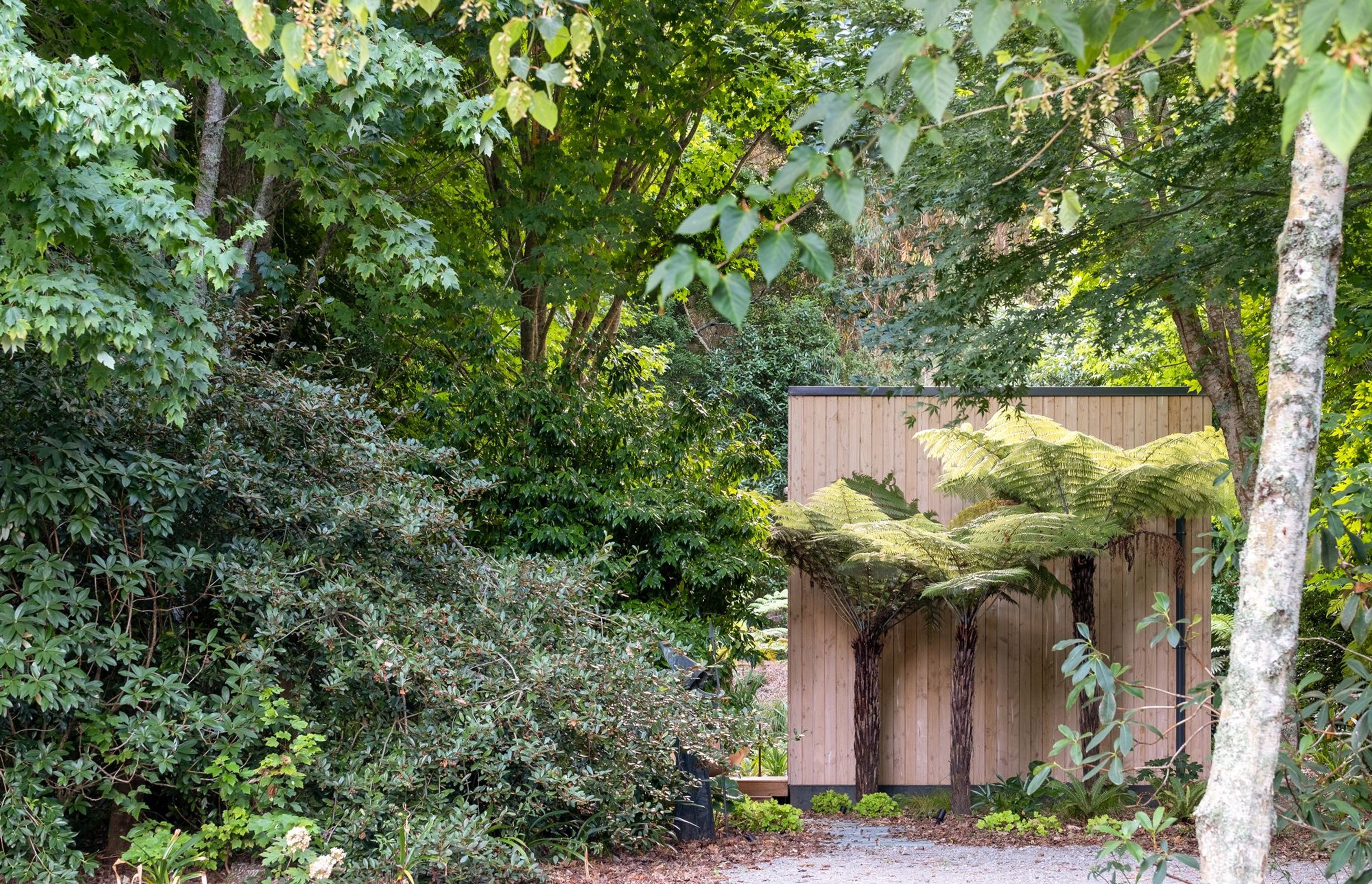 The Chemis Cabin