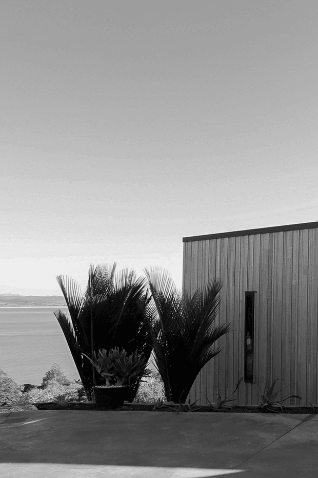Black-and-white exterior architectural photograph showing a vertically clad building volume beside a broad paved terrace or deck. Tall sculptural palm-like plants partially screen the facade, while a wide body of water and distant shoreline are visible beyond, suggesting a coastal or waterfront setting. The composition emphasizes the simple rectangular form, narrow vertical window, textured cladding, and expansive outdoor edge.