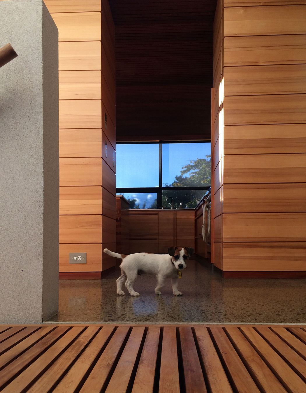 two houses and a shared garden