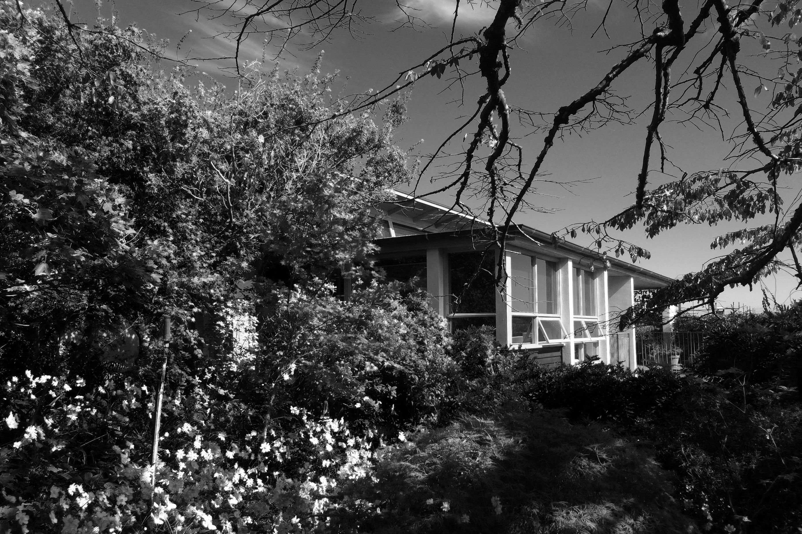 two houses and a shared garden
