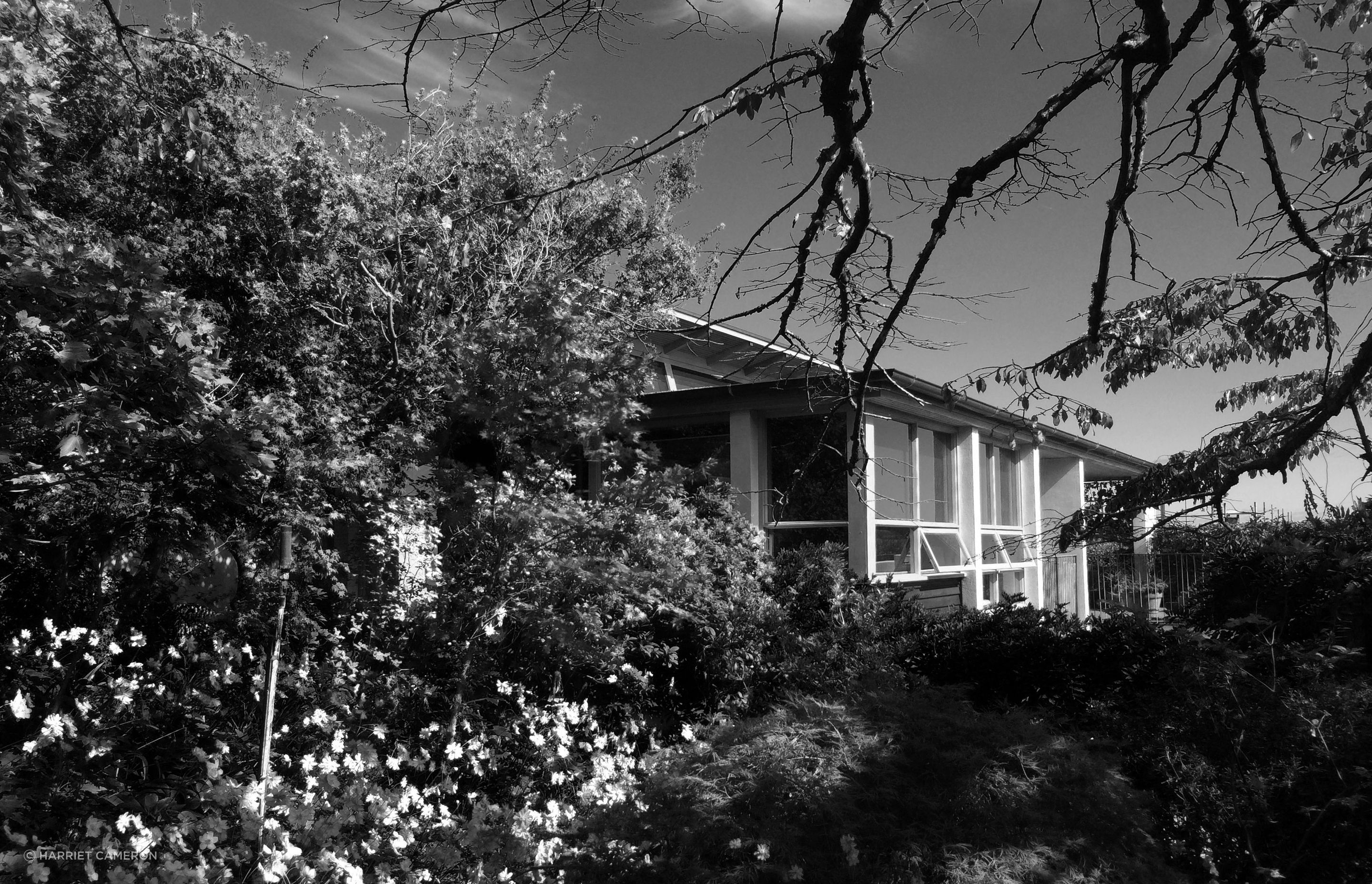 two houses and a shared garden
