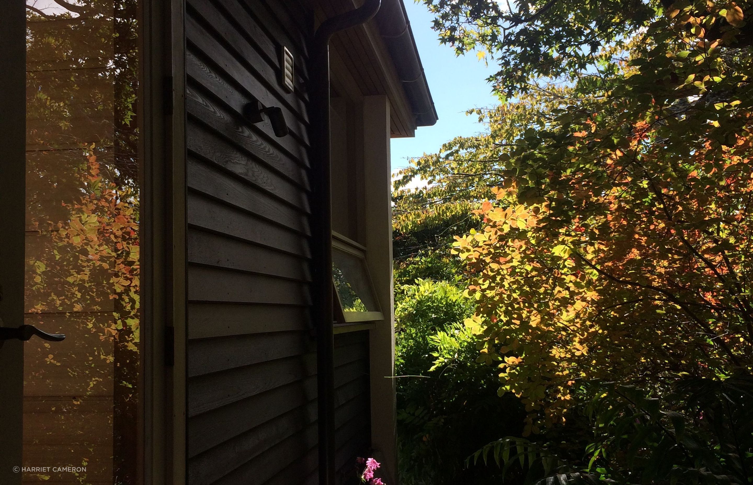 two houses and a shared garden
