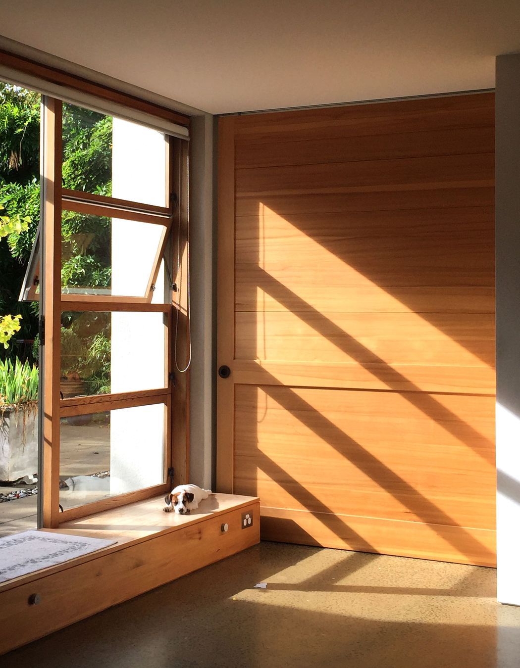 two houses and a shared garden