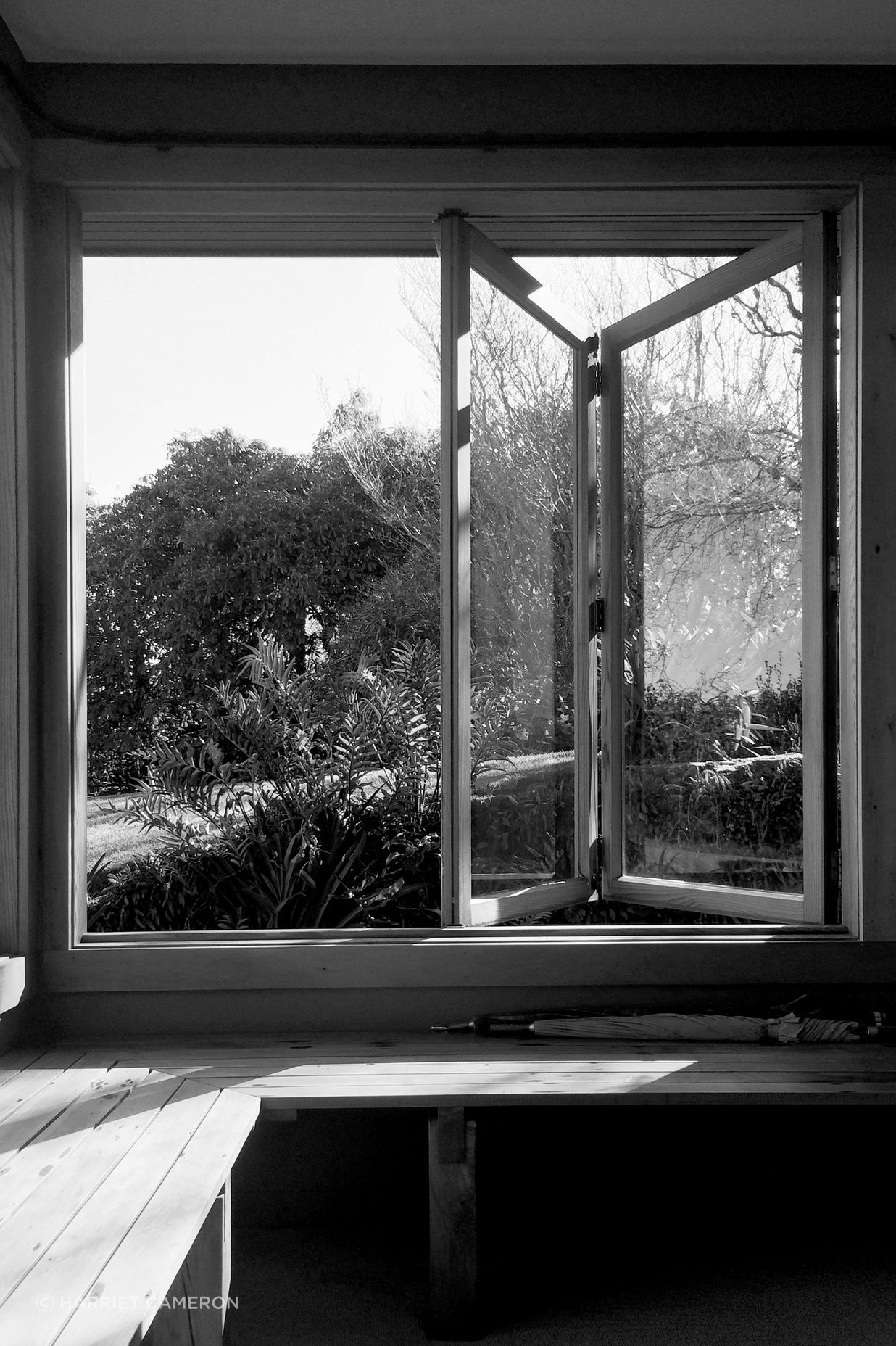 two houses and a shared garden
