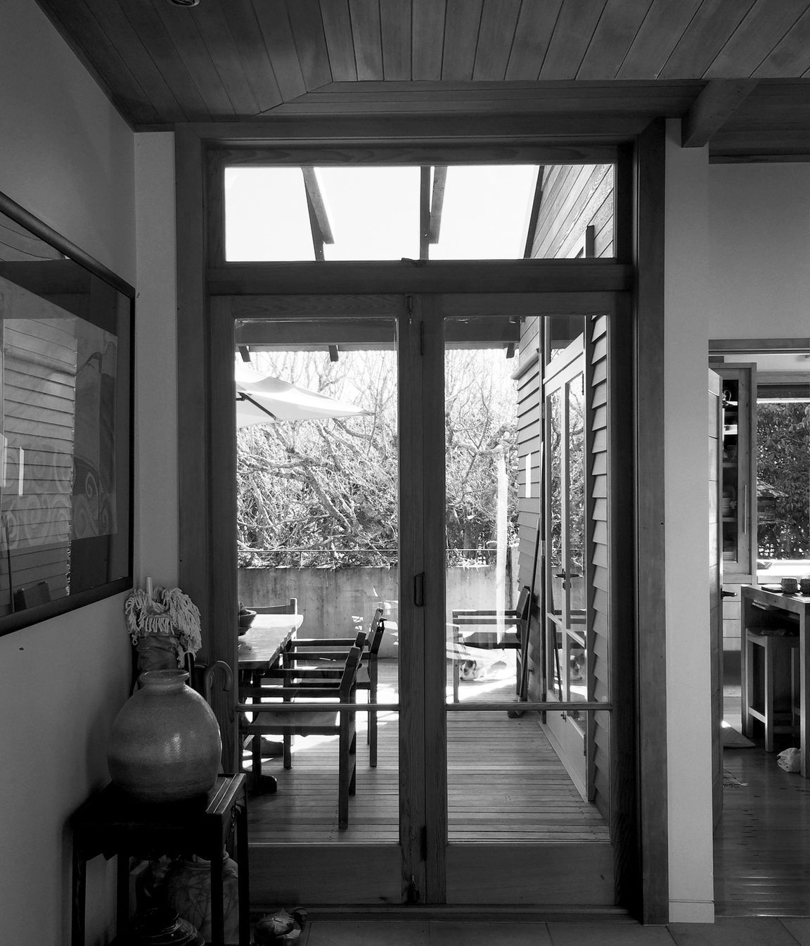 two houses and a shared garden
