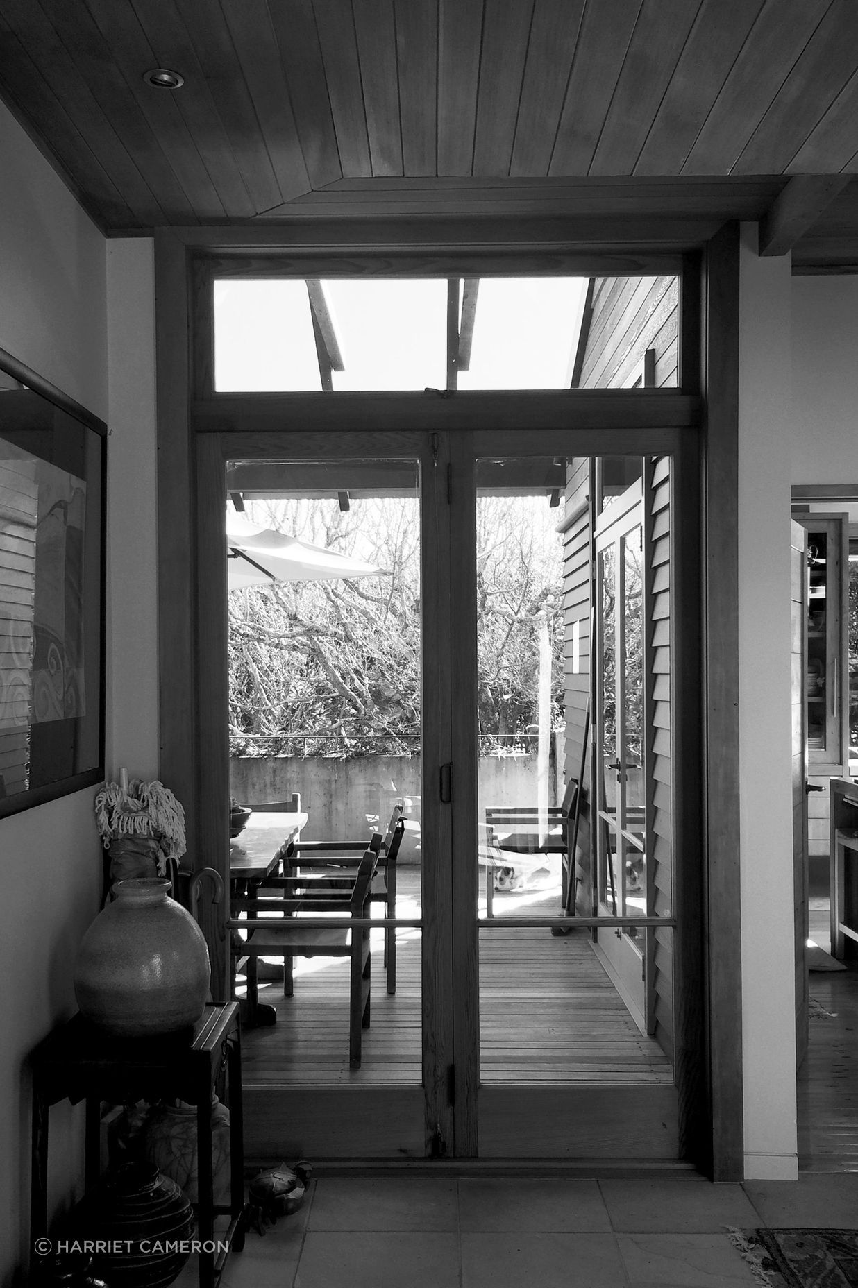 two houses and a shared garden
