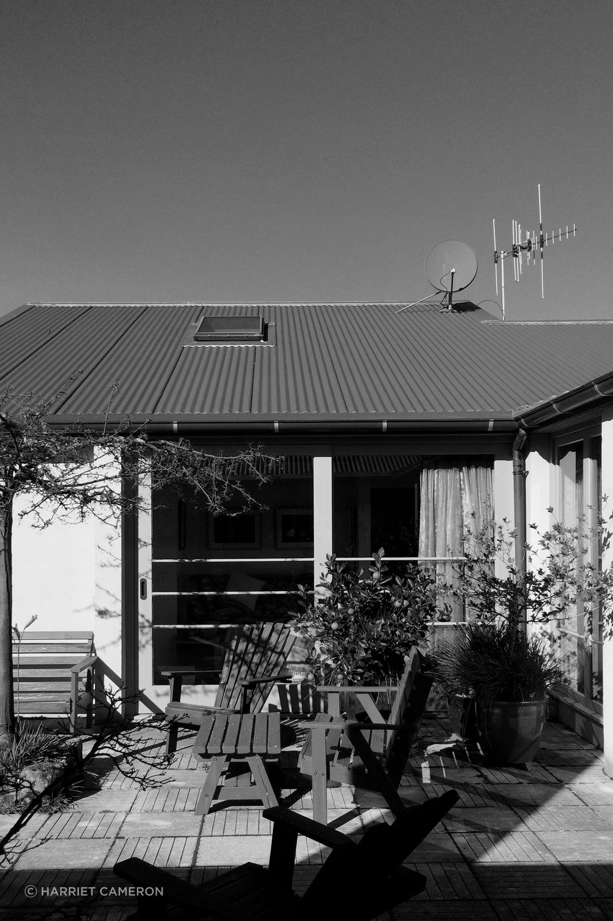 two houses and a shared garden
