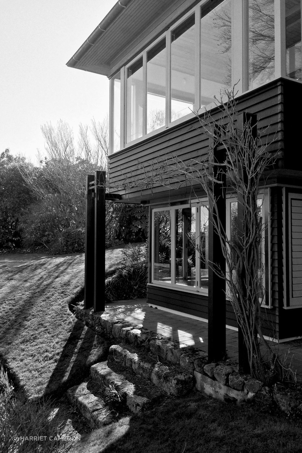 two houses and a shared garden
