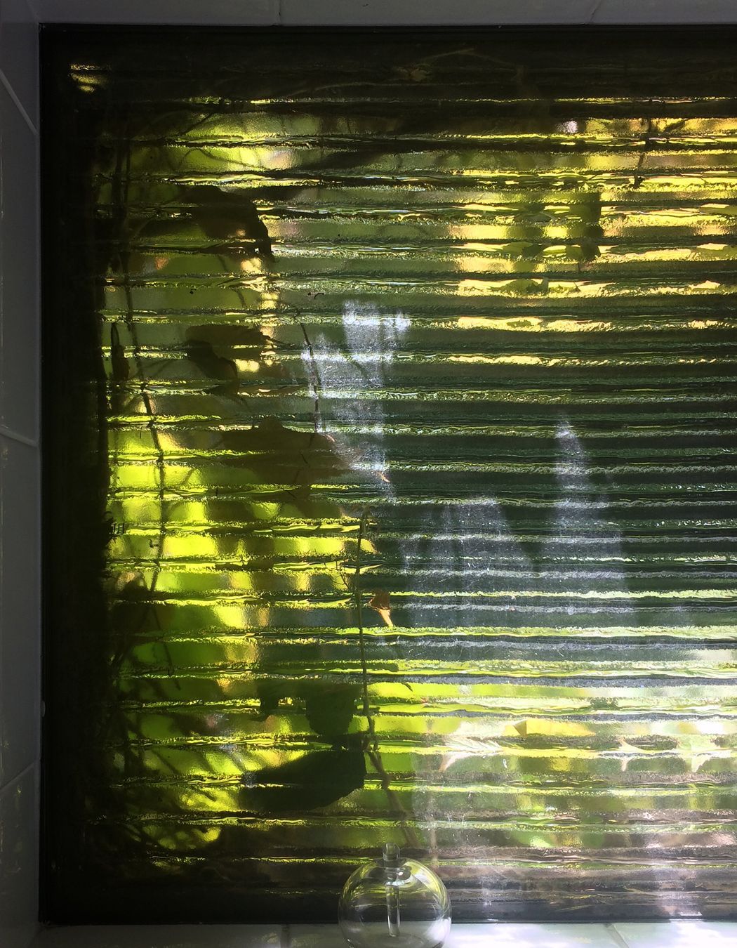 two houses and a shared garden