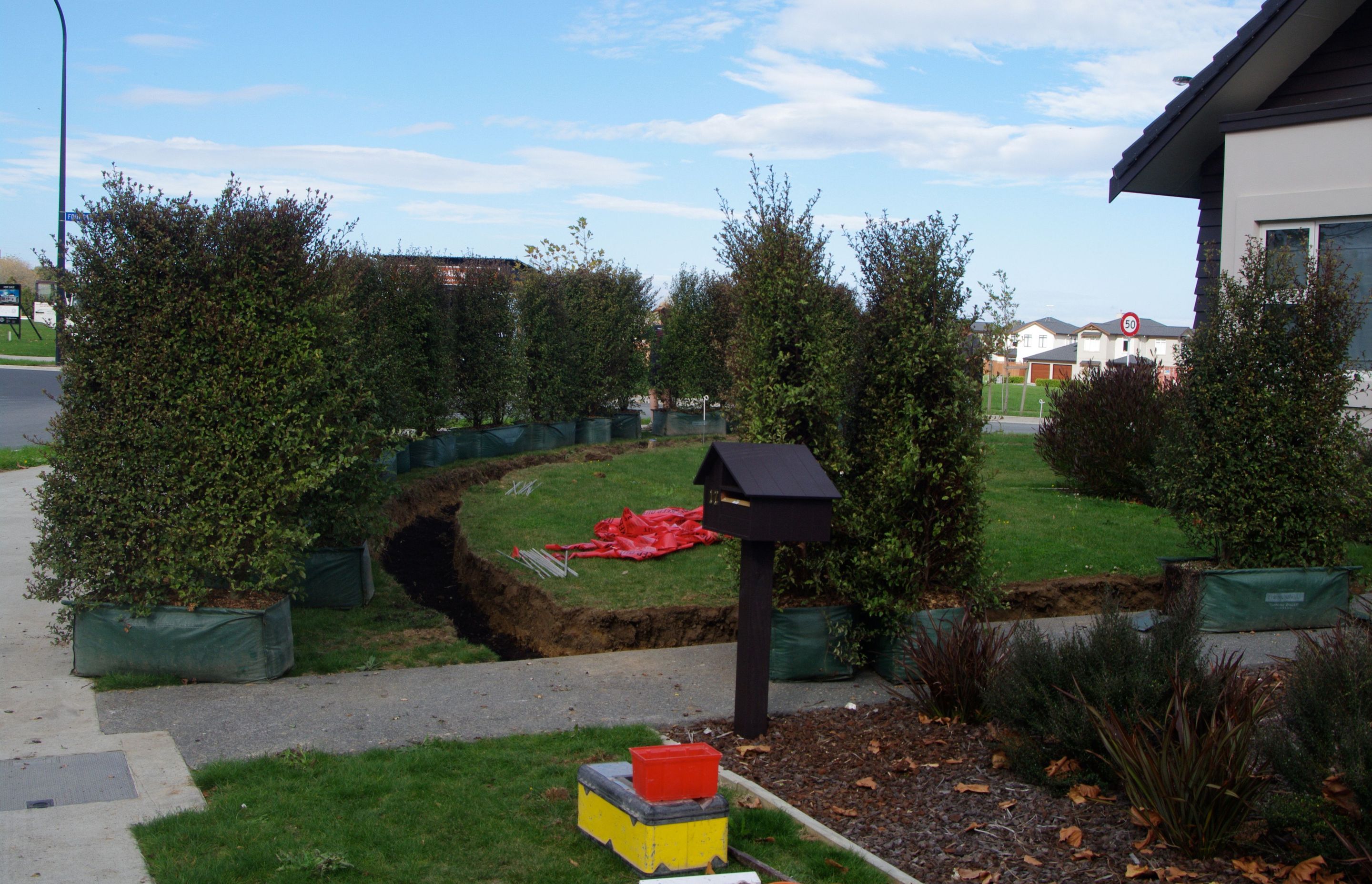 IMGP1244.JPG