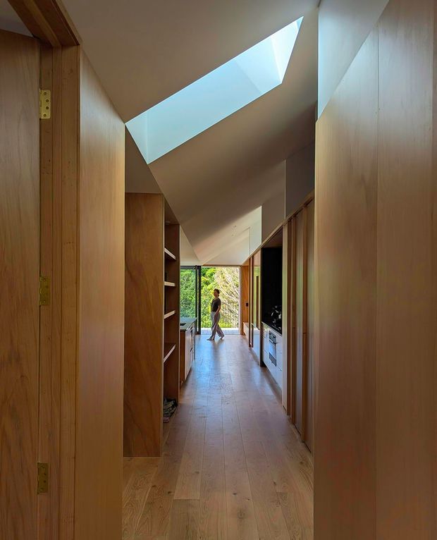 A narrow, warm timber-lined interior passage connects to a brighter living or kitchen area at the far end. Full-height built-in timber cabinetry and shelving line both sides, while a dramatic sloped ceiling incorporates a long skylight that brings in daylight. Pale timber flooring continues toward glazed doors opening to greenery outside. The image has a refined, natural, minimalist character.