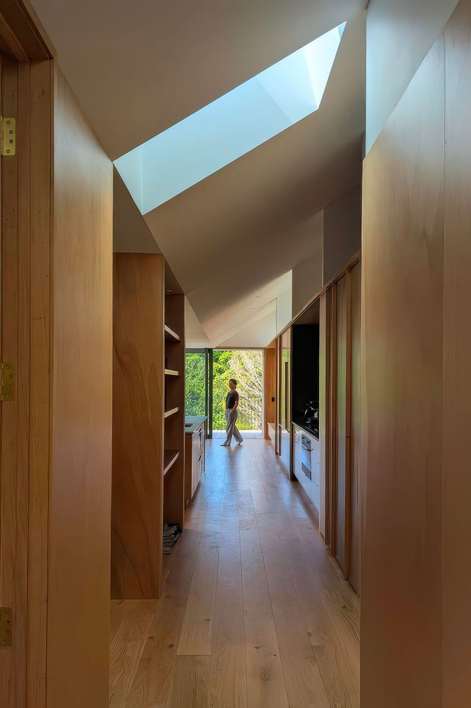 hallwaywellingtoninfillhousesteepsiteIslandBayLOCA-upscaled-by-Replicate.jpg