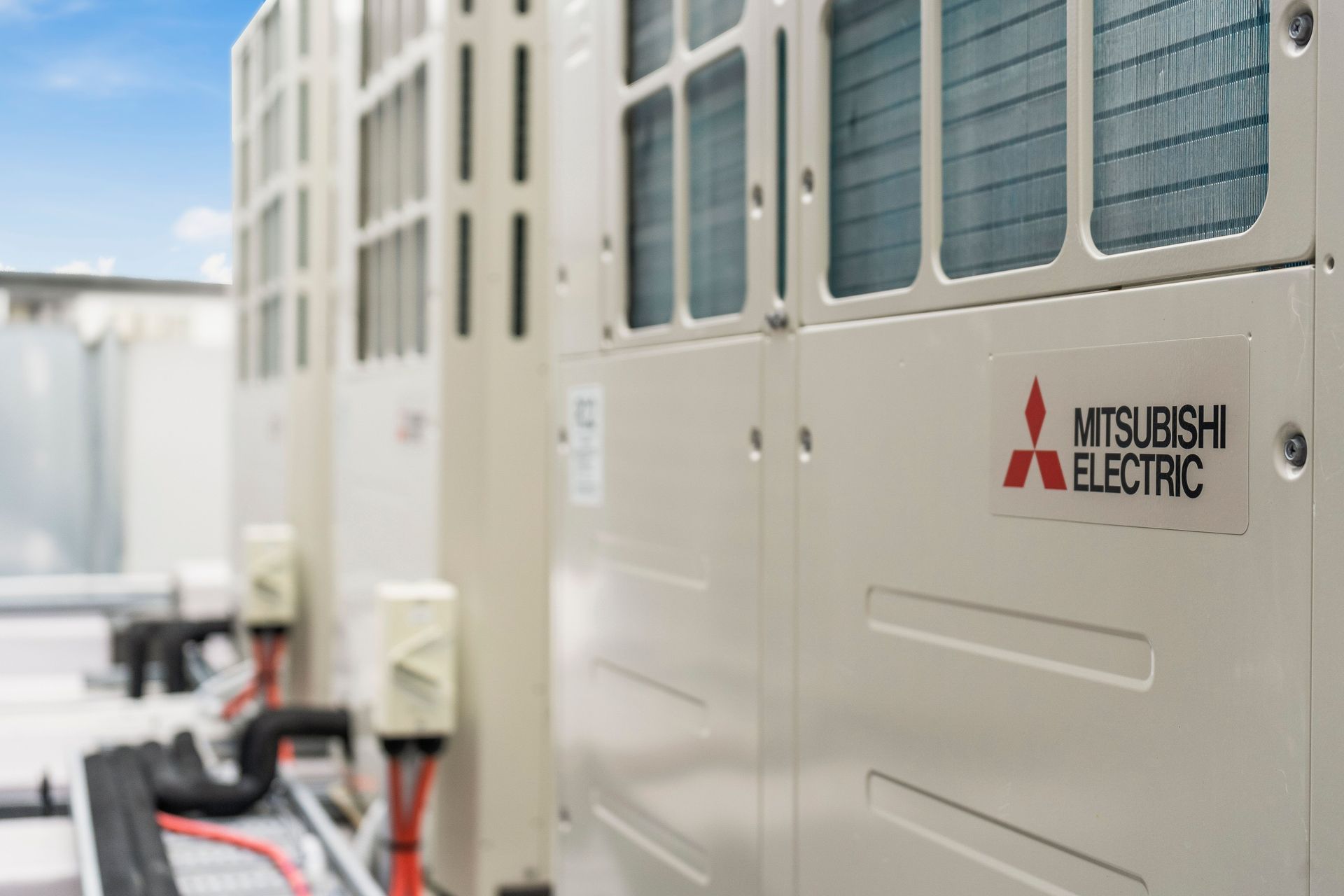 Cuba Precinct, Wellington