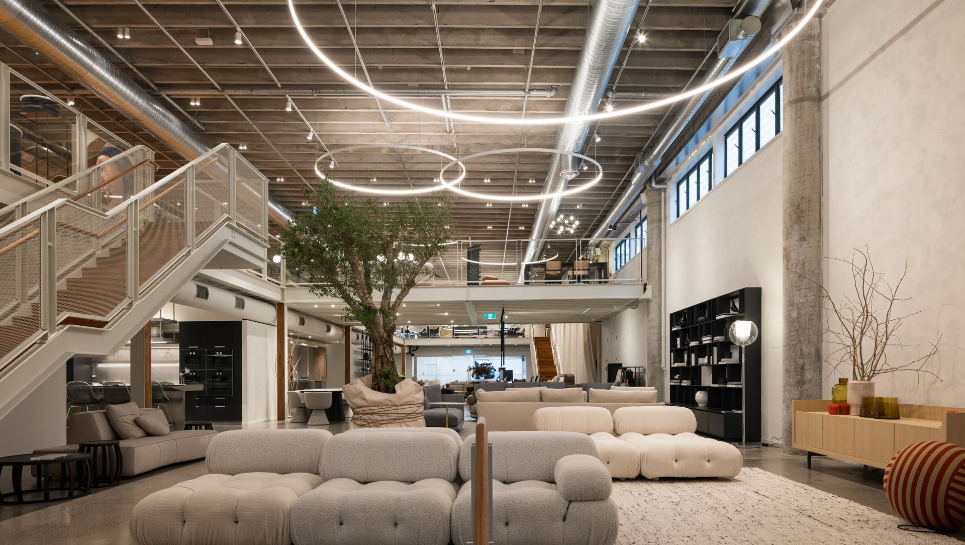 Matisse Flagship Showroom banner