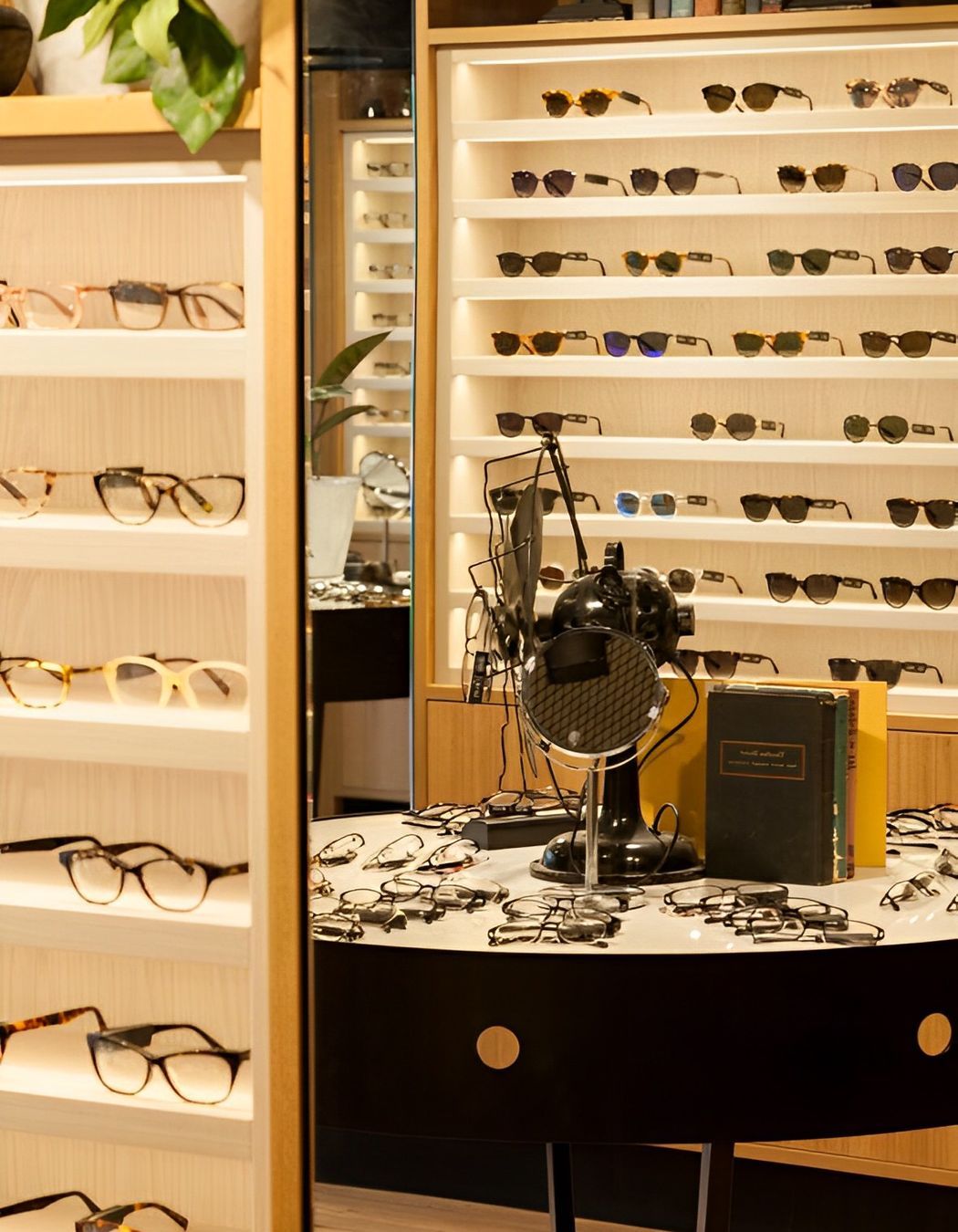 Bailey Nelson - Ponsonby