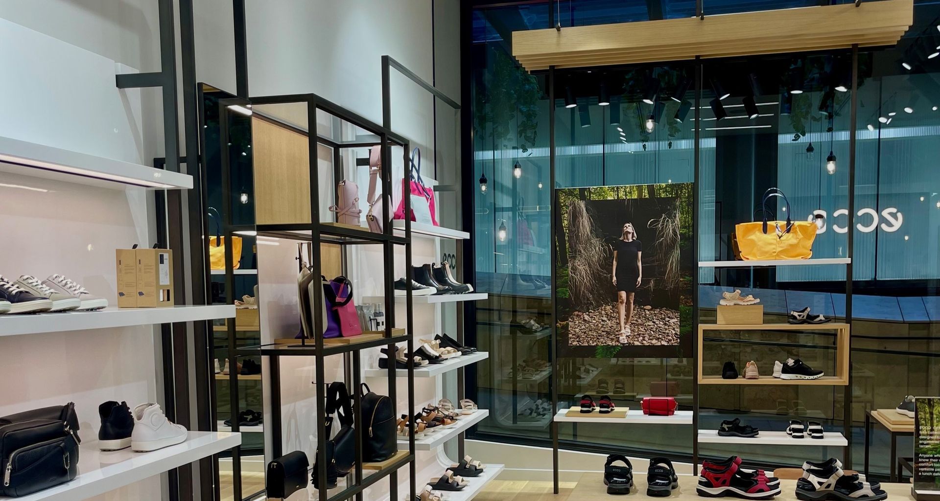 ECCO Shoes banner