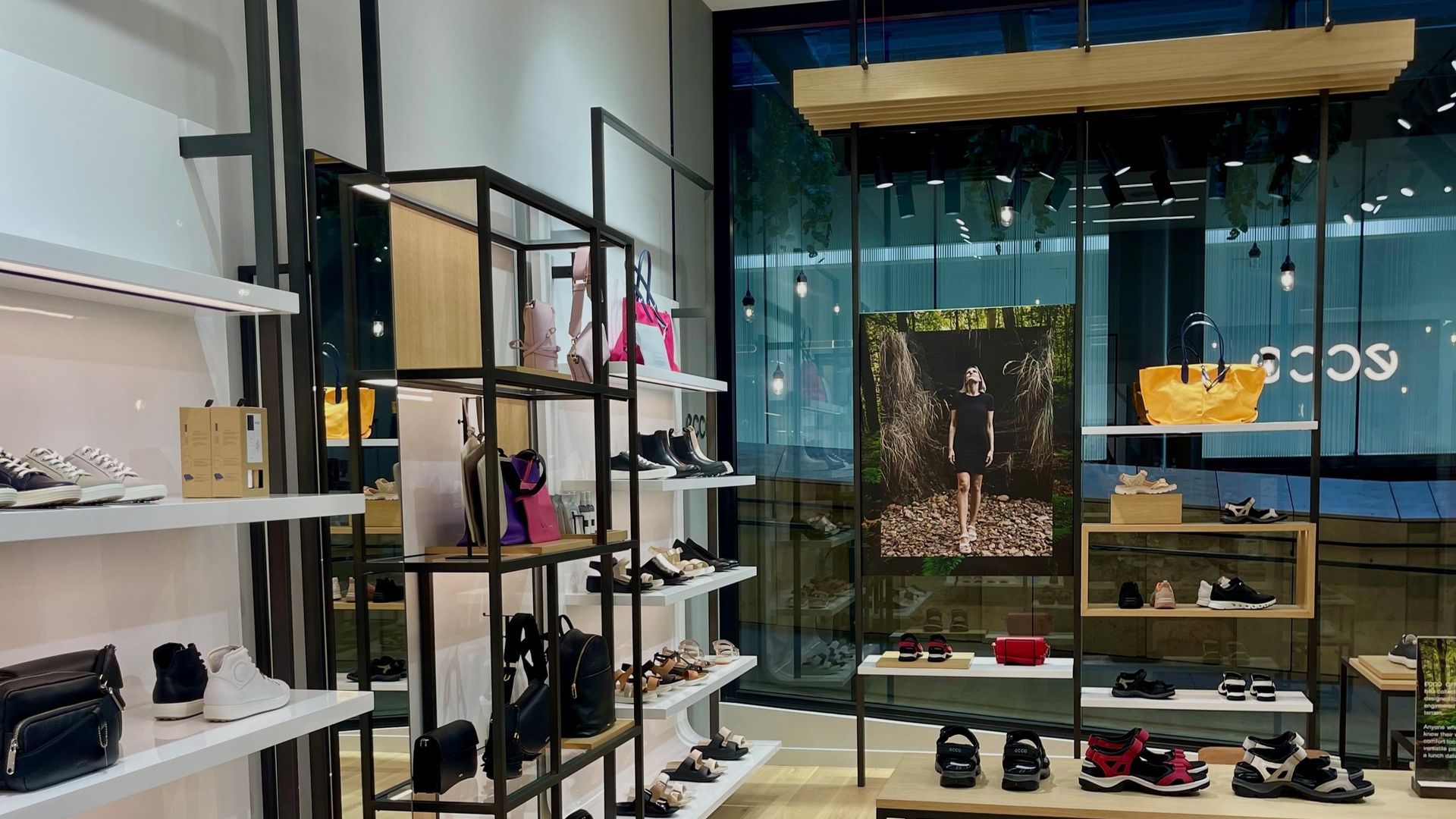 ECCO Shoes banner