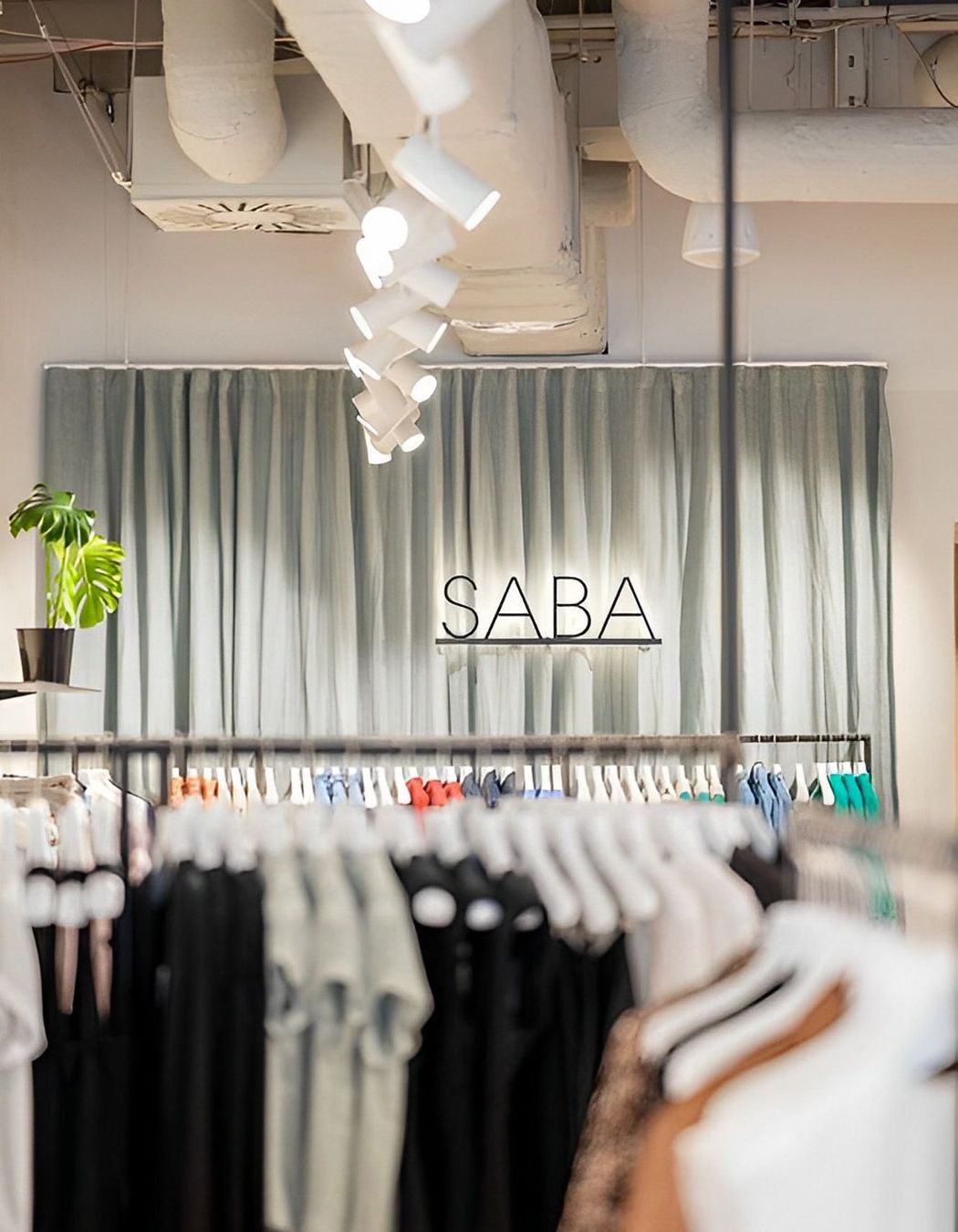 SABA | Wellington
