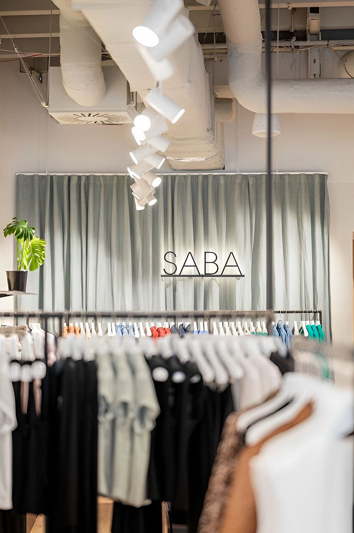 SABA | Wellington