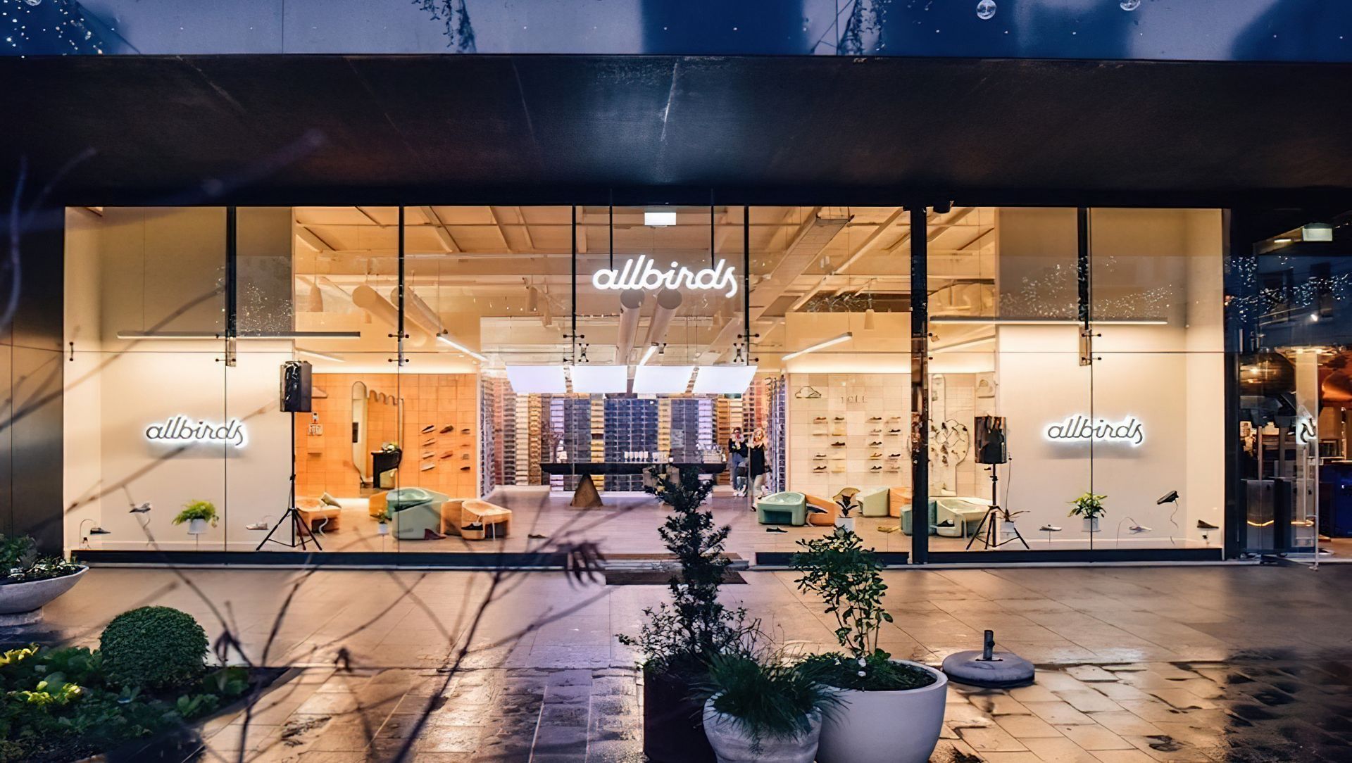 Allbirds Store - Britomart banner