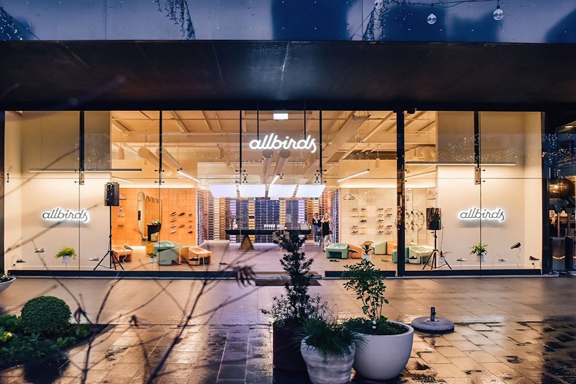 Allbirds Store - Britomart