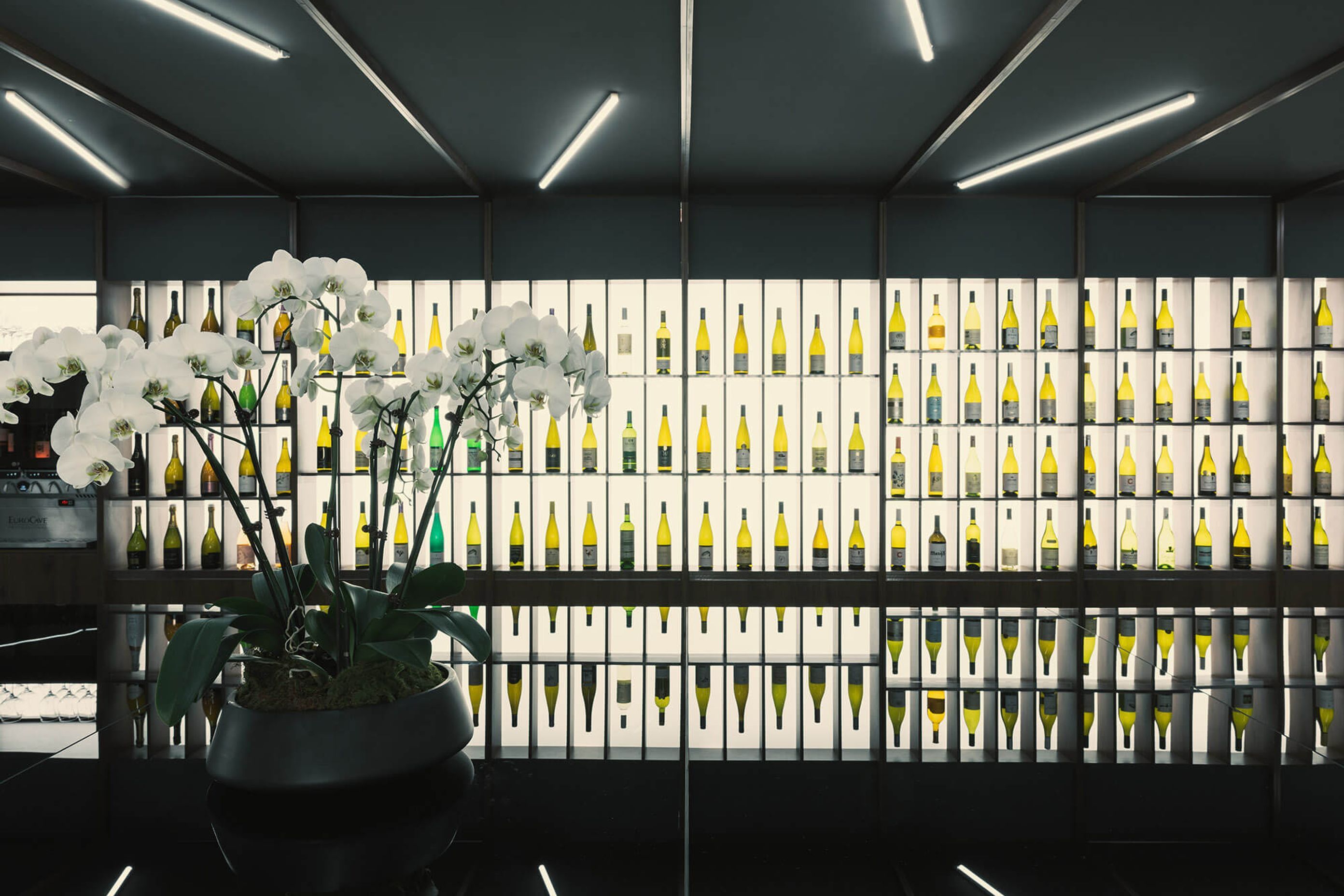 Wine Cave