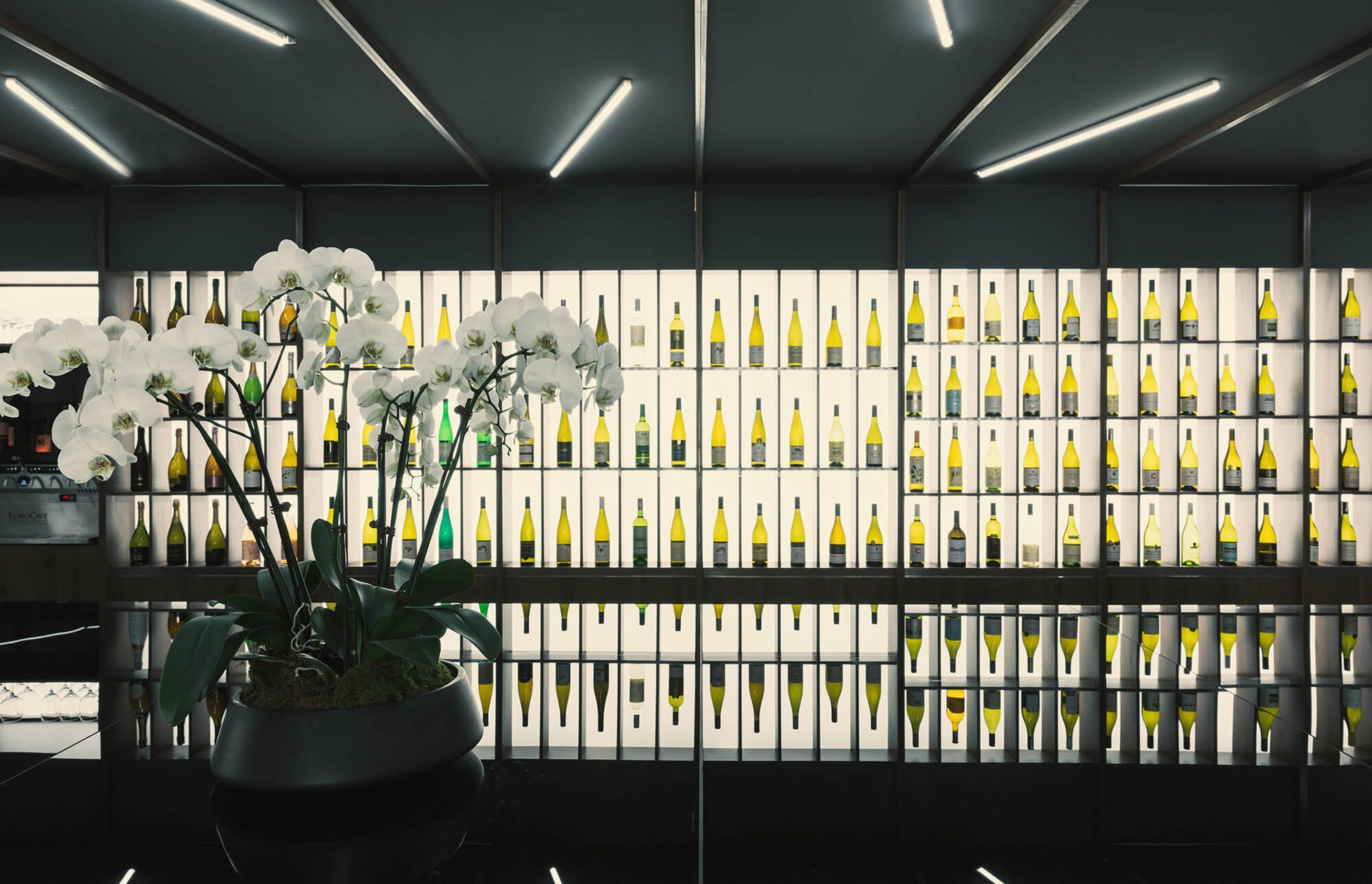 Wine Cave