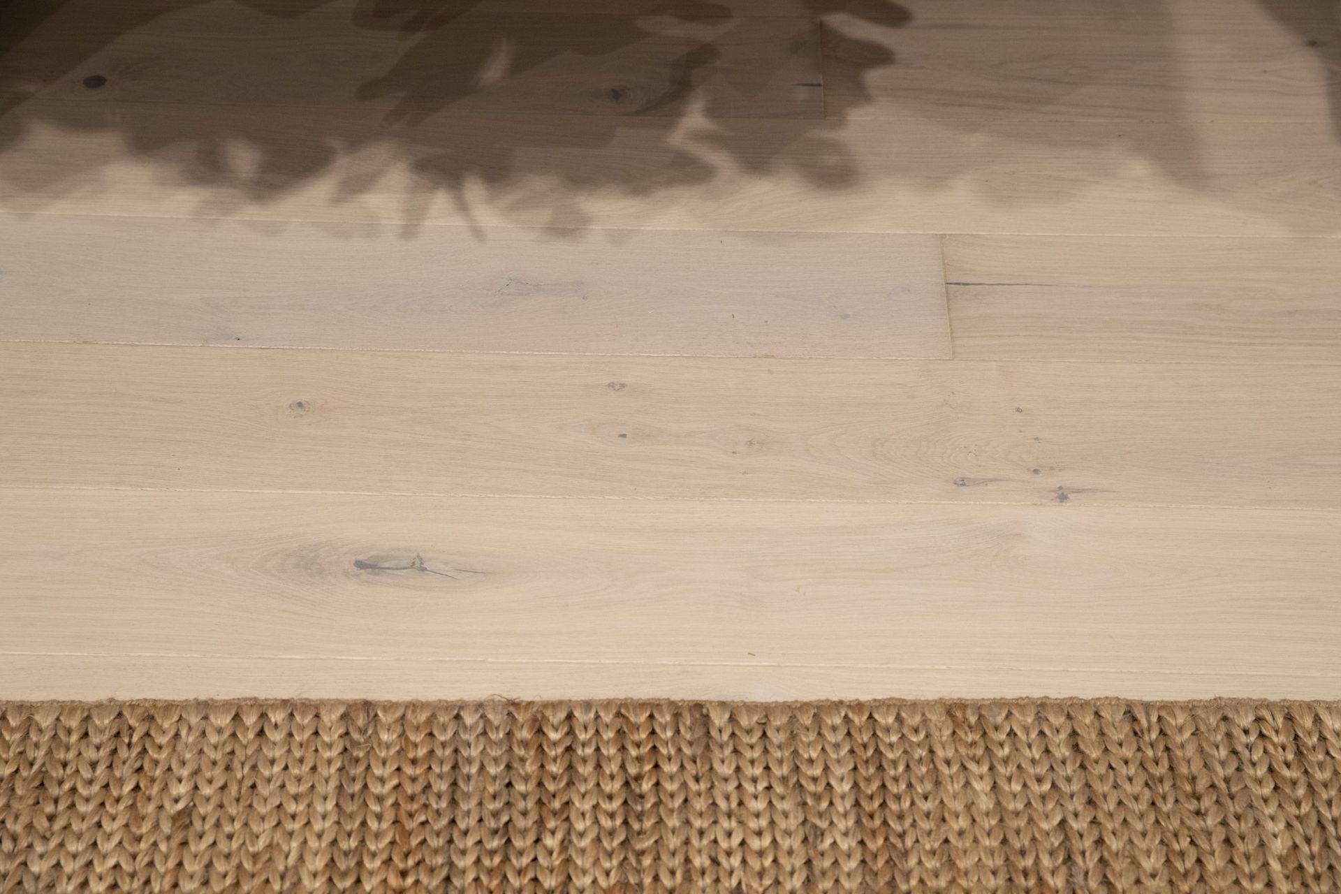 Assembly Label, Auckland