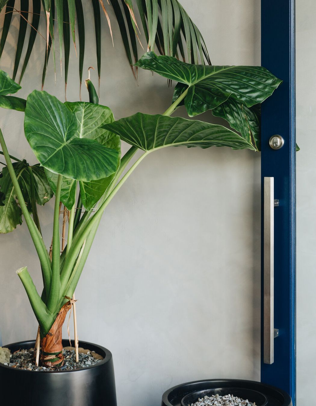 Goodfor Refillery, Wellington