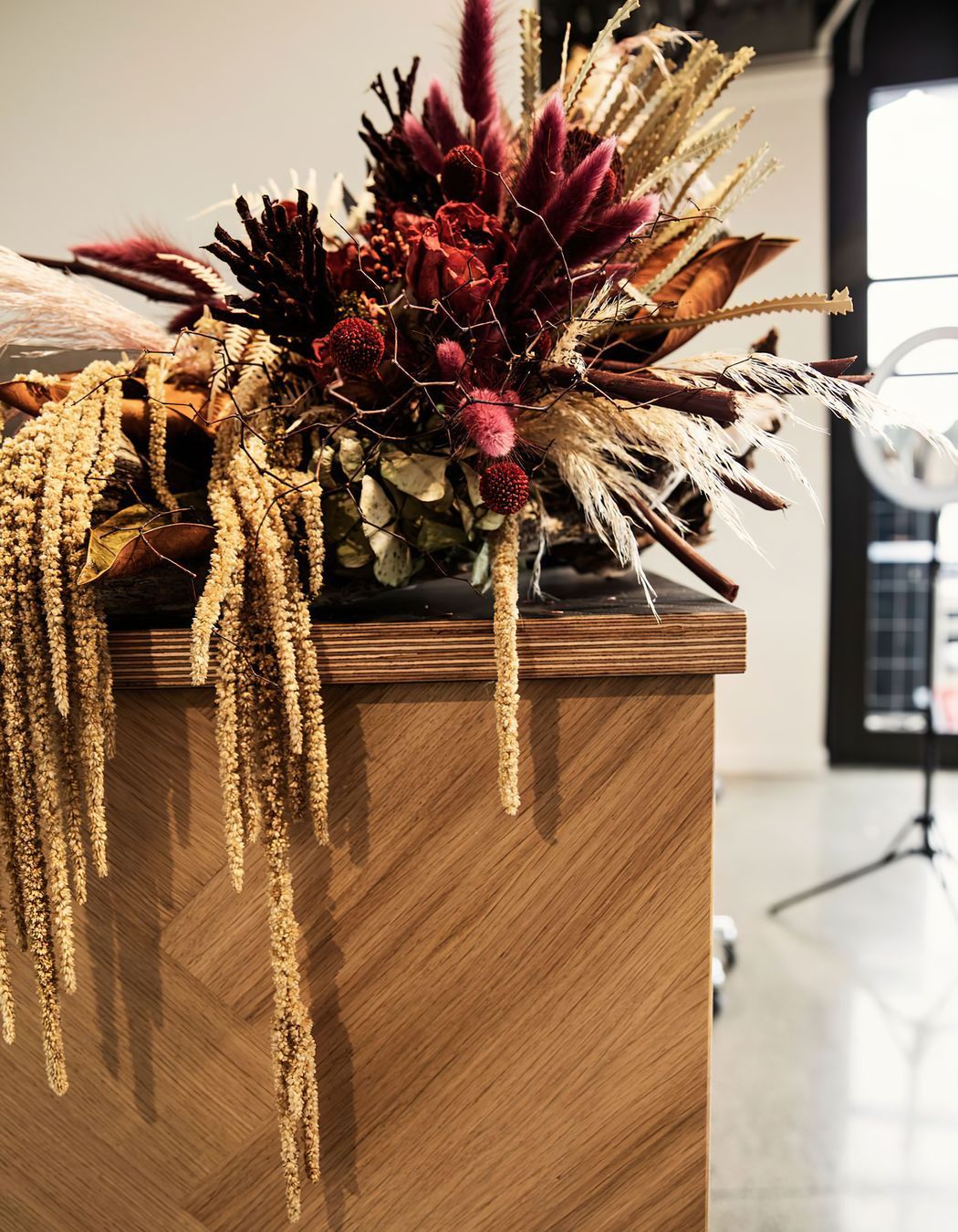 Aneia Warner Salon