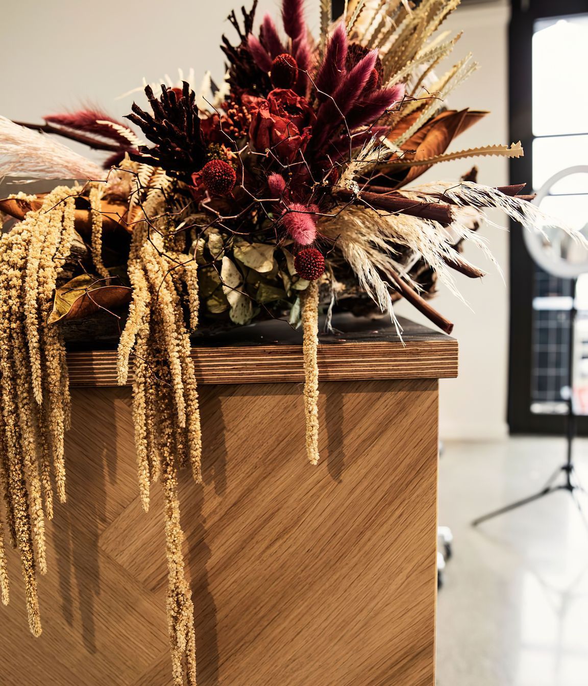 Aneia Warner Salon