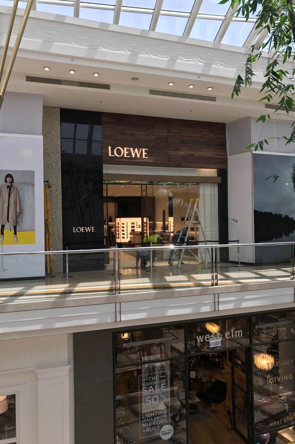 Loewe