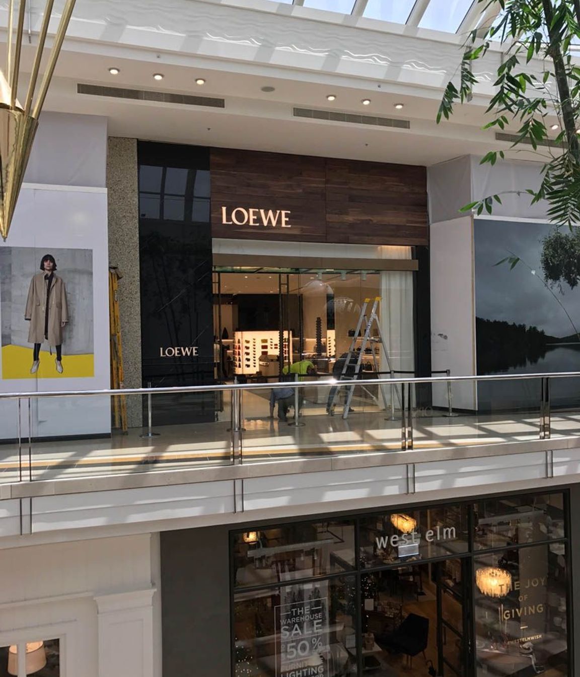 Loewe