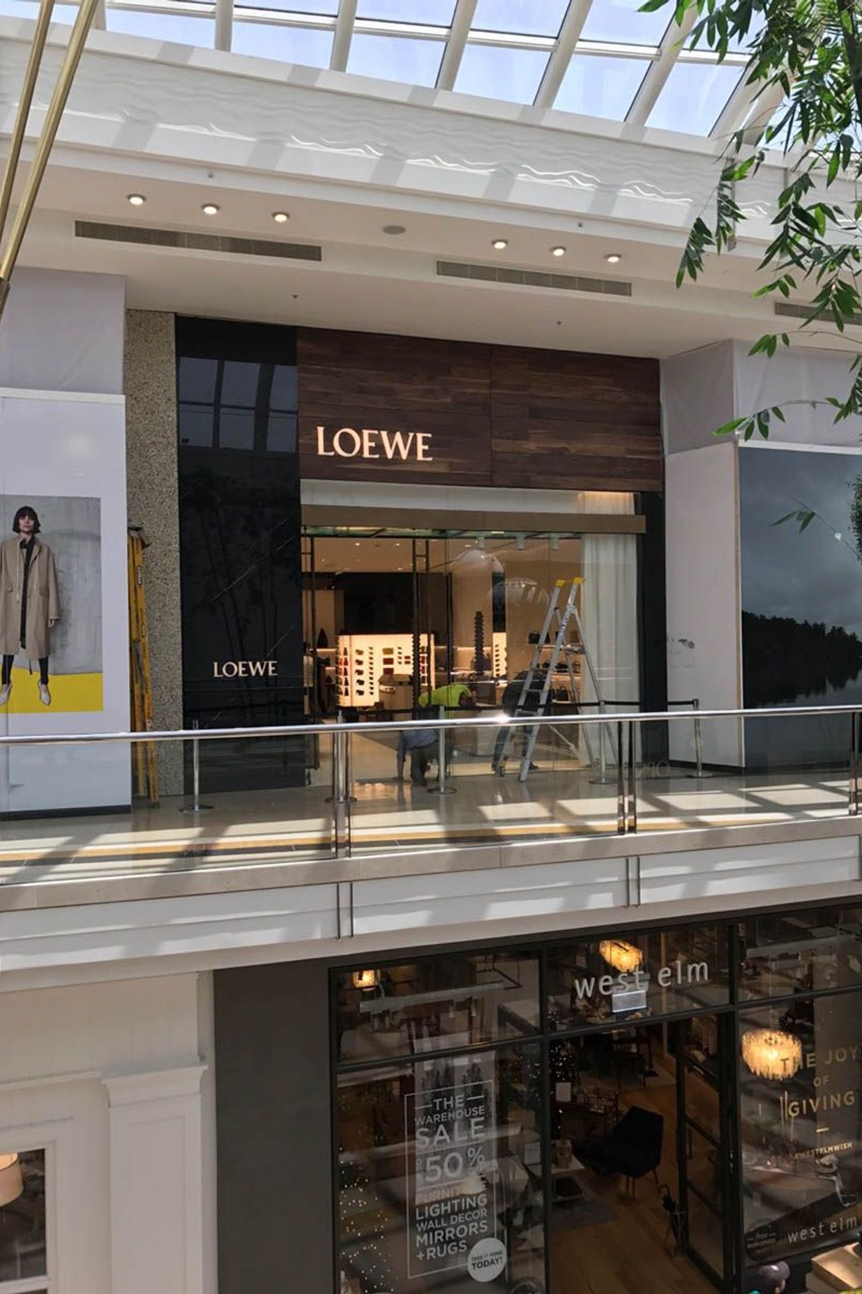 Loewe