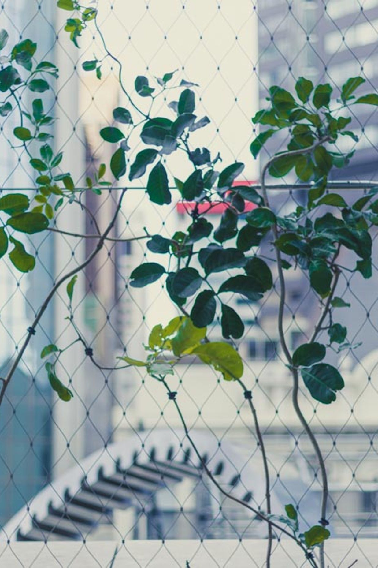 PWC Skydeck foliage screen